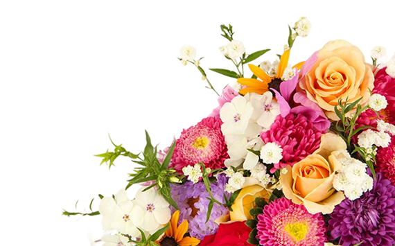 some beautiful flowers